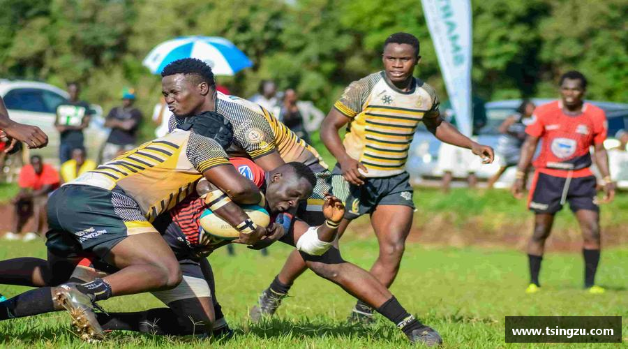 携手共进，齐心迈向成功！